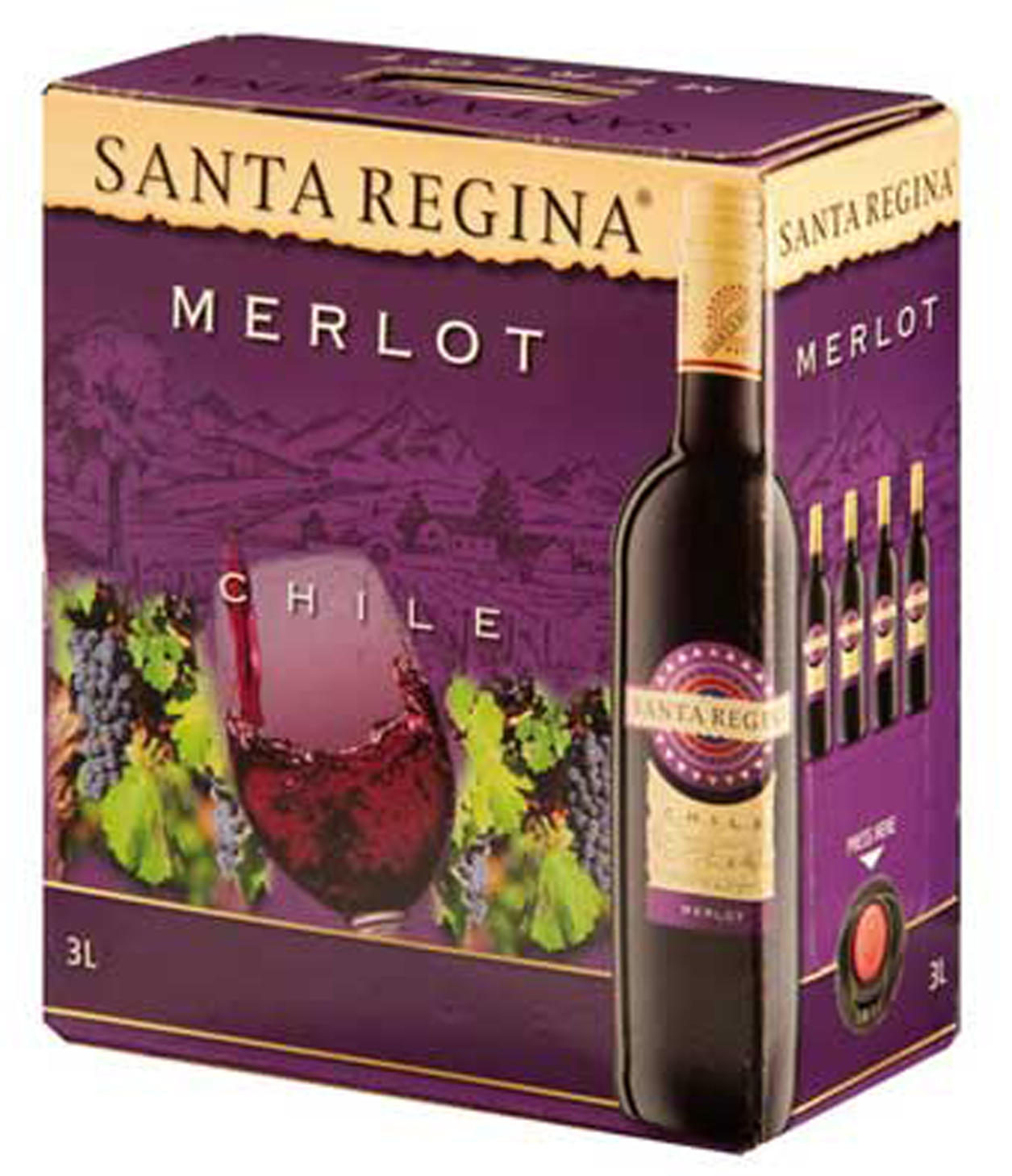 Rượu vang Santaregina Merlot
